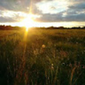 Meet your Posher, Teresa